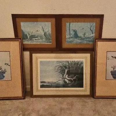 Framed Bird Art Collection Featuring Audubon, Phoenix Gallery & Pheasant Prints