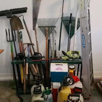 Yard Maintenance Collection with Werner Ladder and Ryobi Hedge Trimmer