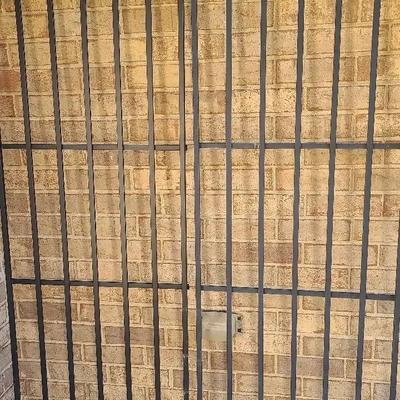 Pair of Black Metal Garden Trellises