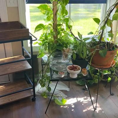 Rolling Metal and Wood Cart with Four Plant Stands