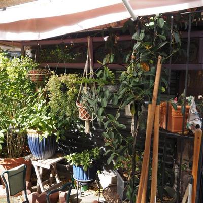 Sale Photo Thumbnail #299