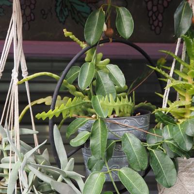 Sale Photo Thumbnail #305