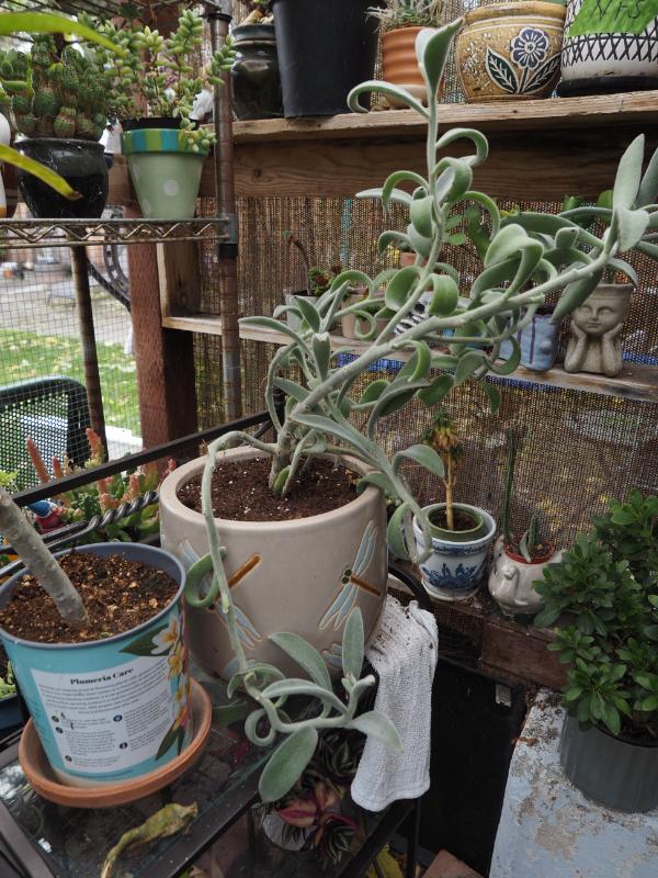 Sale Photo Thumbnail #366