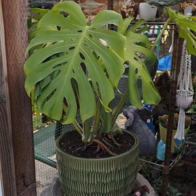 Sale Photo Thumbnail #355