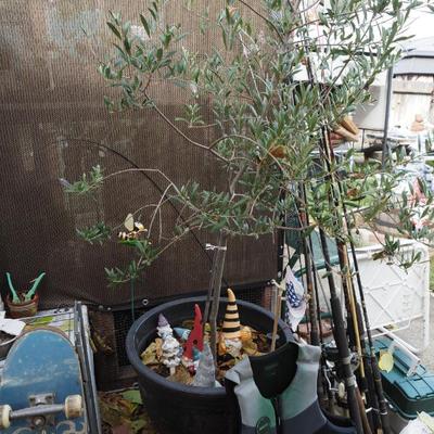 Sale Photo Thumbnail #311