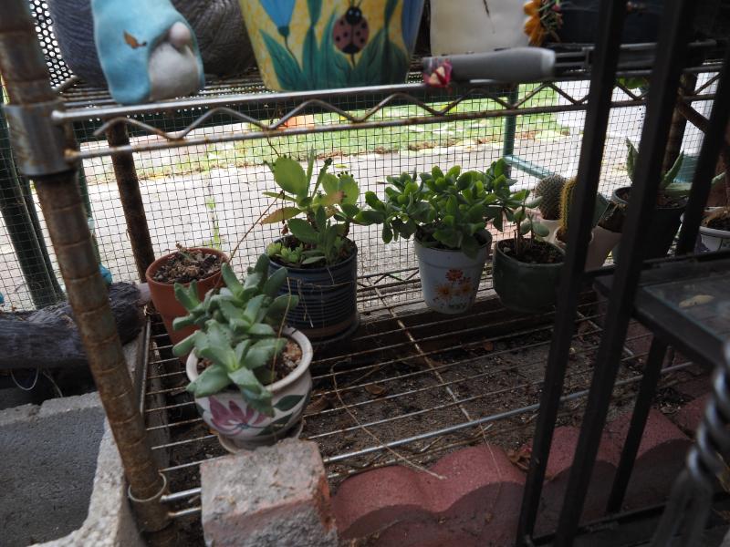 Sale Photo Thumbnail #369