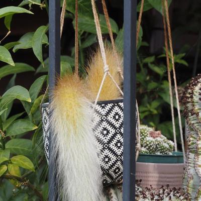 Sale Photo Thumbnail #298