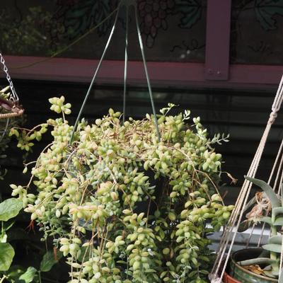 Sale Photo Thumbnail #303