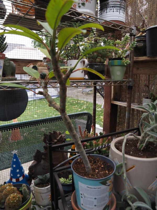 Sale Photo Thumbnail #367