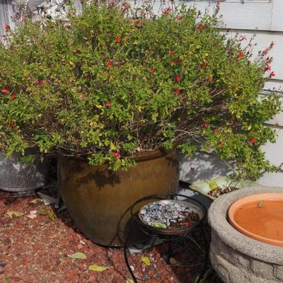 Sale Photo Thumbnail #341