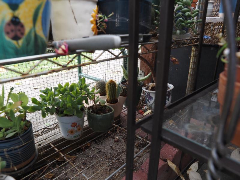 Sale Photo Thumbnail #370