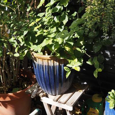 Sale Photo Thumbnail #300