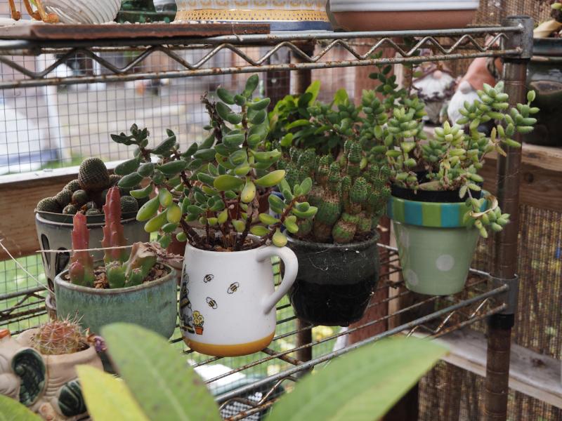 Sale Photo Thumbnail #364