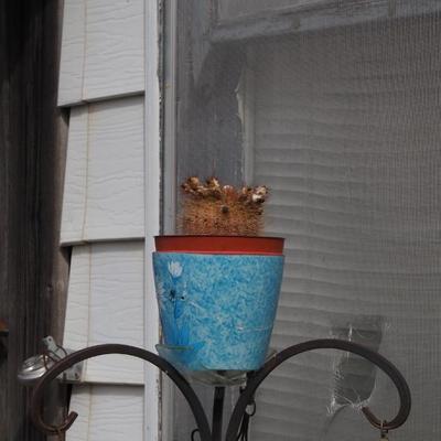 Sale Photo Thumbnail #340