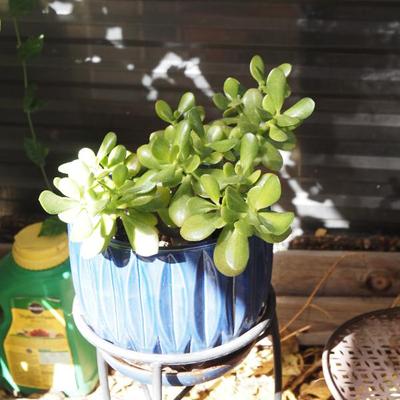 Sale Photo Thumbnail #301