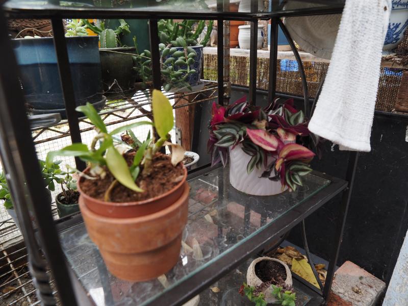 Sale Photo Thumbnail #368