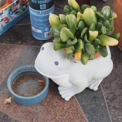 Sale Photo Thumbnail #322