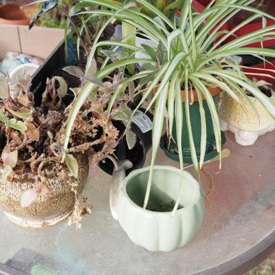 Sale Photo Thumbnail #290