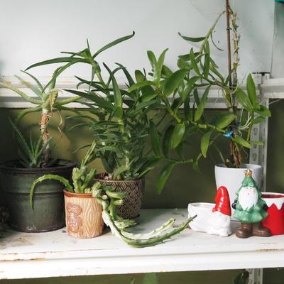 Sale Photo Thumbnail #281