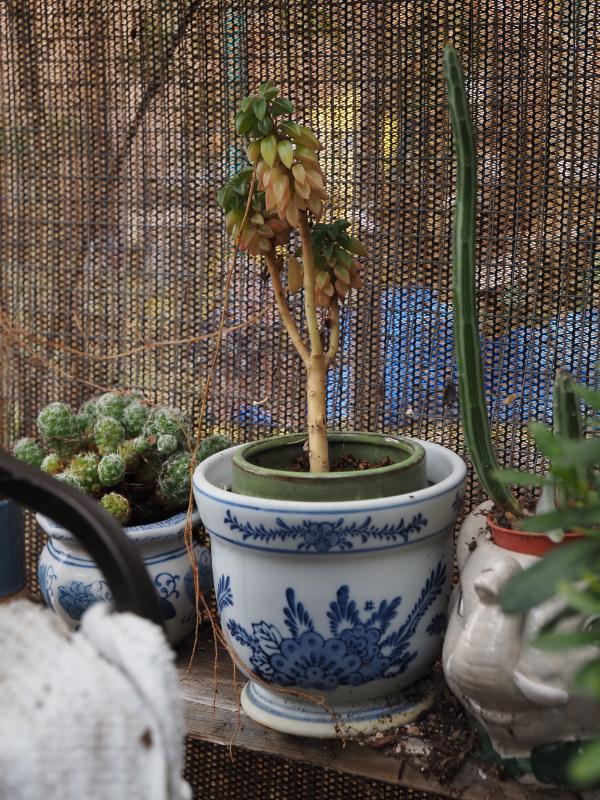 Sale Photo Thumbnail #372