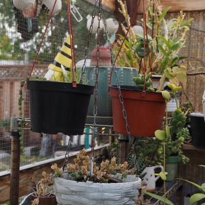 Sale Photo Thumbnail #357