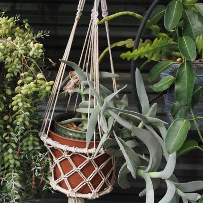 Sale Photo Thumbnail #304