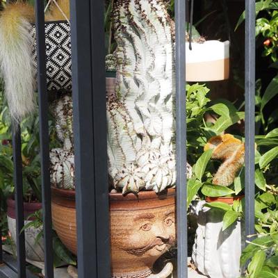 Sale Photo Thumbnail #296