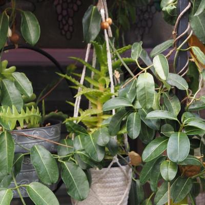 Sale Photo Thumbnail #306