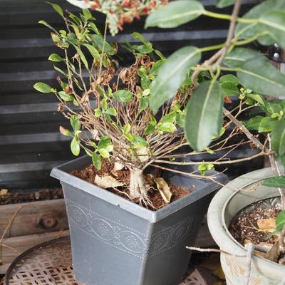 Sale Photo Thumbnail #302