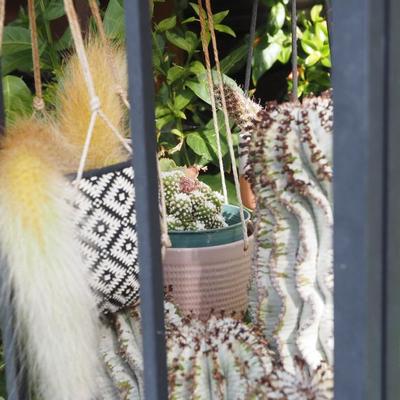 Sale Photo Thumbnail #297