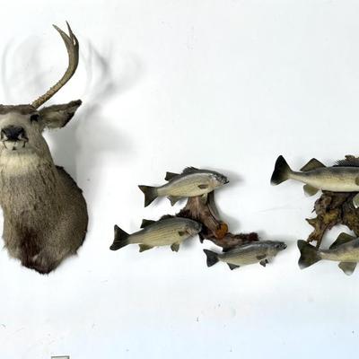 Sale Photo Thumbnail #93