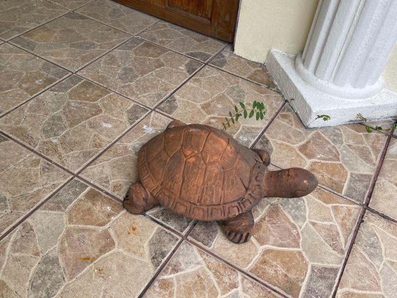 Sale Photo Thumbnail #11