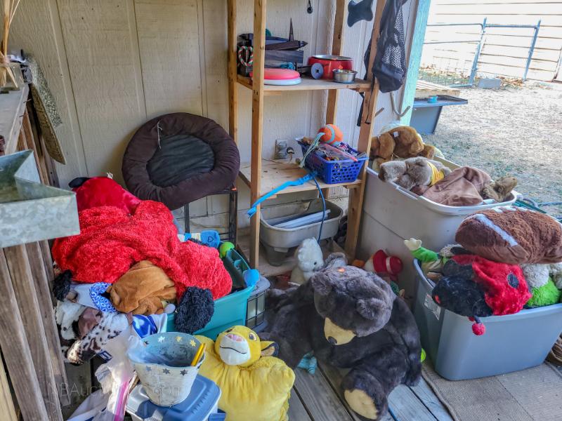 Sale Photo Thumbnail #8