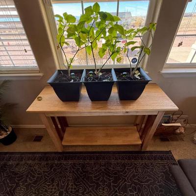 Sale Photo Thumbnail #253