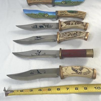 Hunting Items/Wildlife Collection