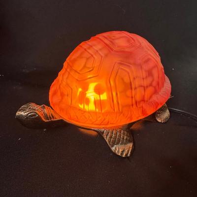 Lighted Turtle