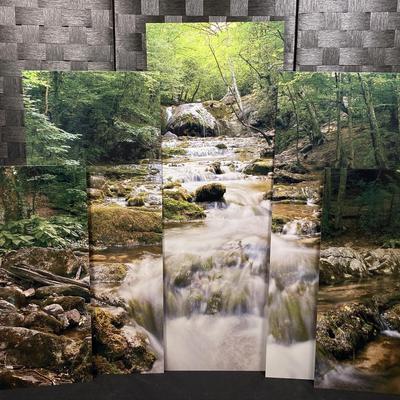 Nature Print On Metal (comes In 5 Pieces) All Measurements In Pics