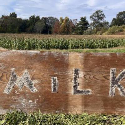 Sale Photo Thumbnail #20