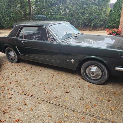 Sale Photo Thumbnail #4