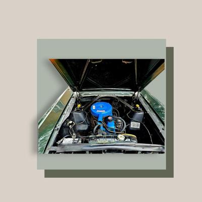 1965 Ford Mustang - Automatic - 6 Cylinder - 120 Hp 