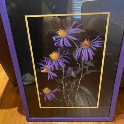 George Johnson Photo