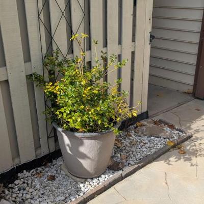 Sale Photo Thumbnail #89