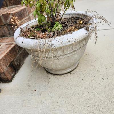 Sale Photo Thumbnail #239