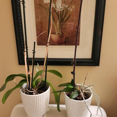 Sale Photo Thumbnail #60