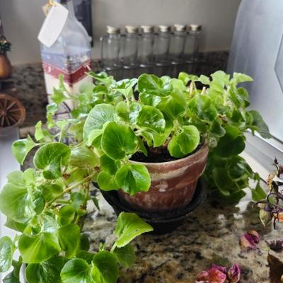 Sale Photo Thumbnail #219