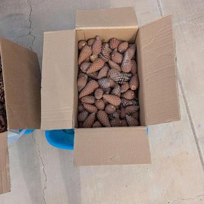 Sale Photo Thumbnail #185: Image000004 5)