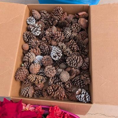 Sale Photo Thumbnail #194: Image000005 5)