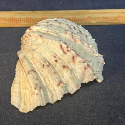 Sale Photo Thumbnail #651