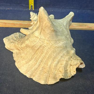 Sale Photo Thumbnail #669