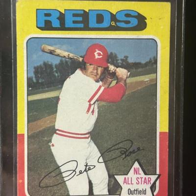 Sale Photo Thumbnail #673